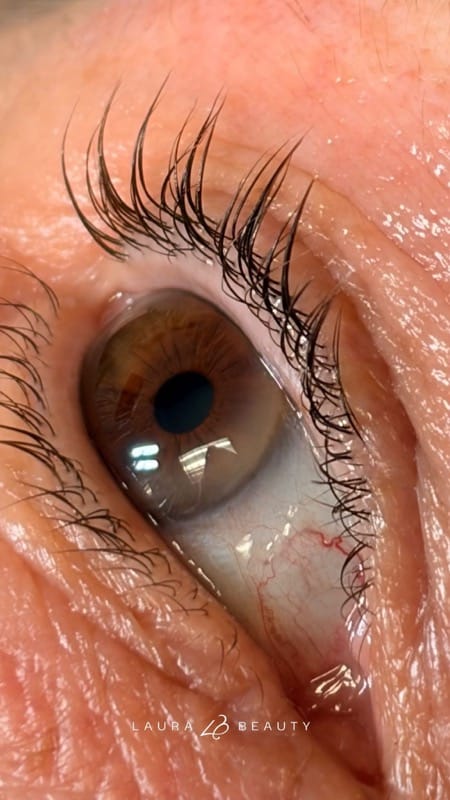 Lash lift close-up